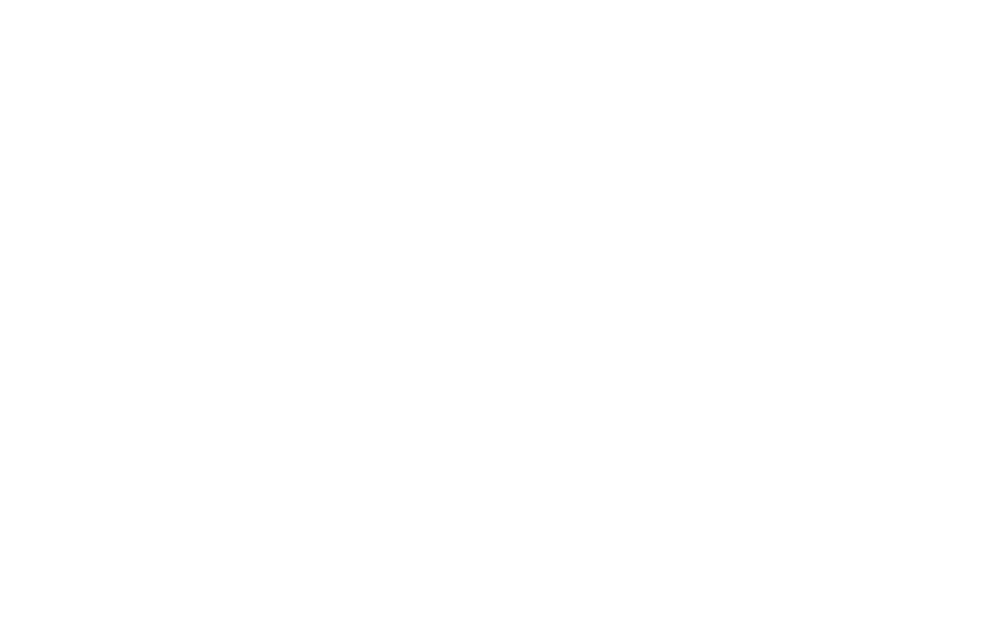 Voices of Sales Consultancy